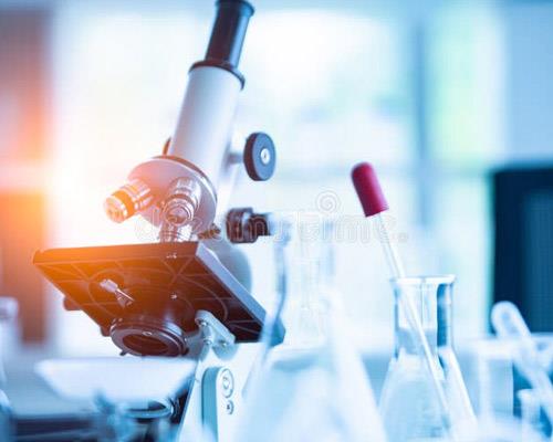 Bilimsel Faaliyet Özel İlgi Alanı Gruplarının Oluşturulması